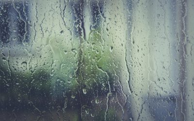 Maîtriser l’humidité de votre intérieur