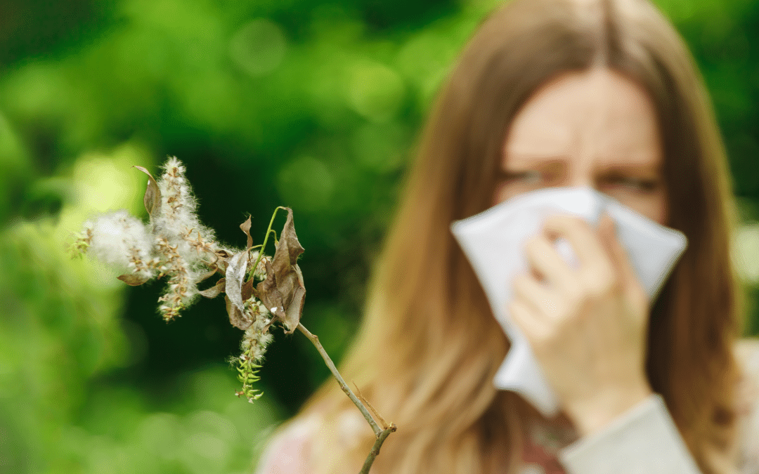 entretien VMC en période de pollen